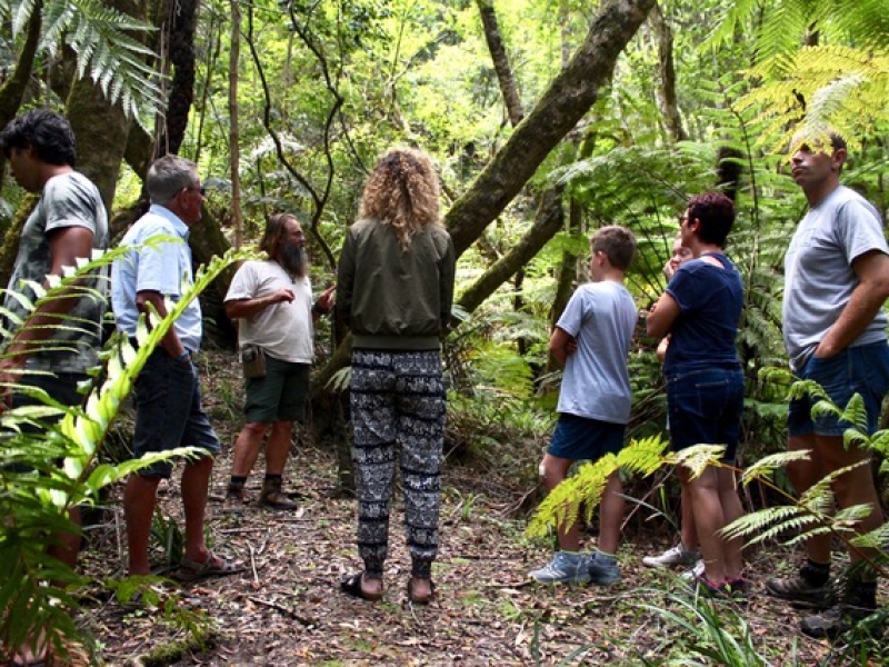 Secrets of the Knysna Forest