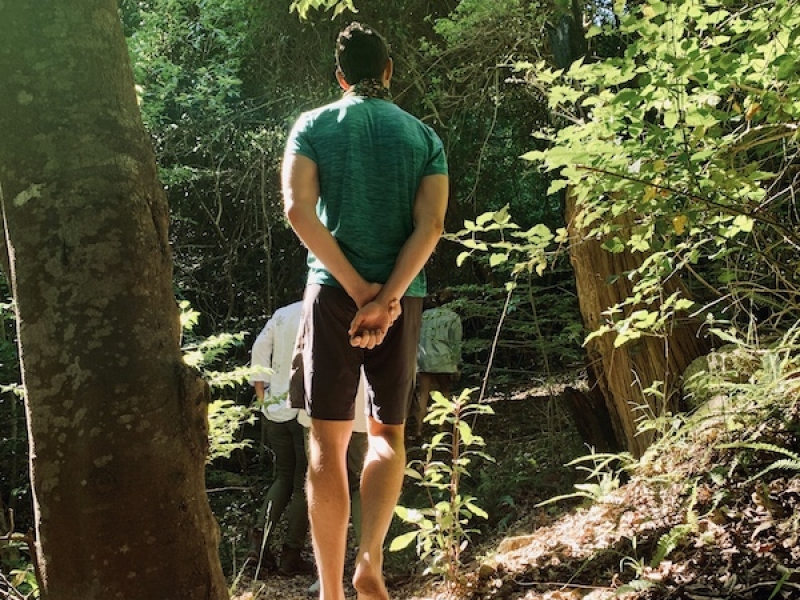 Wellness Walks